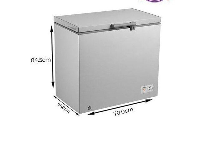 SKYRUN BD-260A CHEST FREEZER